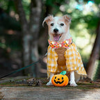 Fall Dog Collar - Image 5