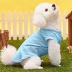 Custom Dog T-Shirts with Name, Breathable Personalized Print or Embroidered - Image 7