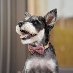 Beirui Cute Small Dog Harness Collar and Leash Set - Image 5