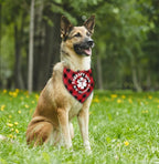Dog Bandana, Therapy Dog Please Pet Me with, Dogs Scarf Classical Printing - Image 4