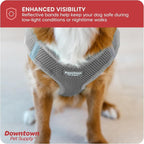 Downtown Pet Supply Step-in Dog Harness – No Pull, Adjustable Padded Mesh - Image 7