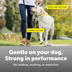 PetSafe Gentle Leader No-Pull Headcollar - Image 4