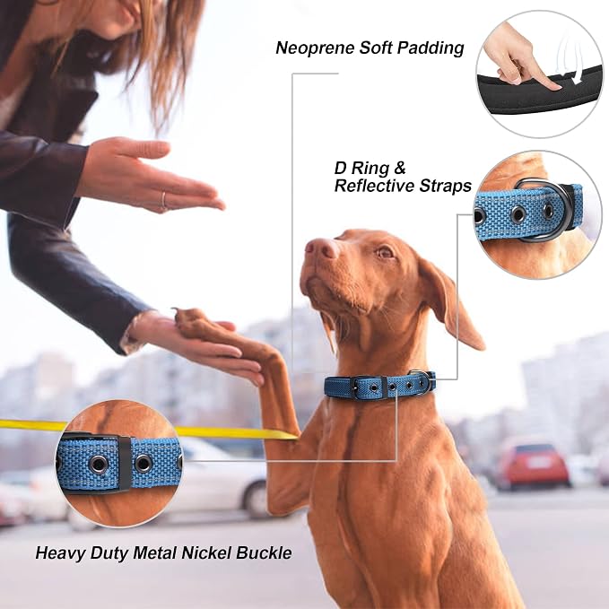PetiFine Dog Collar for Large Dogs, Neoprene Padded and Adjustable, Reflective - Image 2