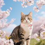 Unique style paws 2 Pack Spring Summer Kitten Collar Breakaway - Image 6