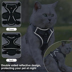 Escape Proof Kitten Harness and Leash Set - Image 3
