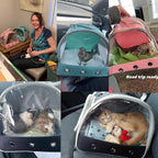 Guinea Pig Carrier Backpack, Bunny Rat Bird - Image 7
