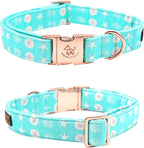 Elegant Little Tail Summer Dog Collar - Image 4