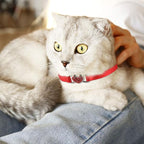 2 Pcs Cat Collars Heart Bling Breakaway - Image 6