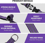 Hikiko Martingale Collar for Dogs Reflective Nylon Dog Collar - Image 4