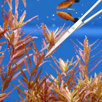 Hiceeden 4 Pcs 15 Inch Long Aquarium Aquascape Tools, Stainless Steel - Image 5