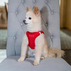 Voyager Step-In Plush Dog Harness – Soft Plush, Step In Vest Harness - Image 8