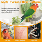 PINVNBY 8 PCS Bird Perch Parrot Beak Grinding Stone Calcium Mineral Parrot - Image 5