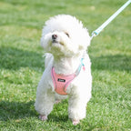 AIITLE Comfortable Dog Harness and Leash Set - Image 9