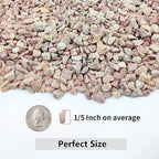 5LB Succulent and Cactus Gravel Pebbles, 1/5 Inch Natural Decorative Polished - Image 2