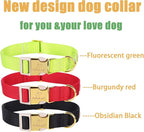 Nylon Dog Collar - Image 7