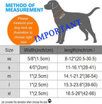 DOGWONG Checkered Dog Collar - Image 6