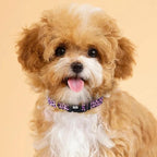QQPETS Adjustable Soft Dog Collar: Print Flower Pink Multicolor Cute Patterns - Image 9