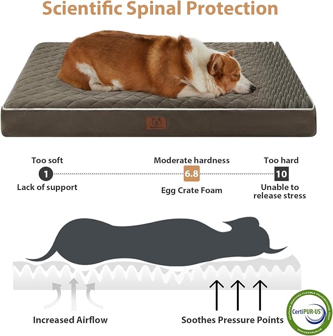 WNPETHOME Orthopedic Big Dog Beds Large Sized Dog, Waterproof Extra Large Dogs - Image 3