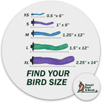 Sweet Feet and Beak Safety Pumice Perch - Image 3