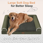 Small Dog Bed Orthopedic Washable: Beds Bolster Small Sized Dogs Cats Bed Egg - Image 2