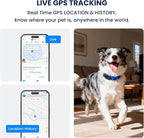 AI GPS Tracker for Dogs, Real Time Location and AI Vet Health Management - Image 2