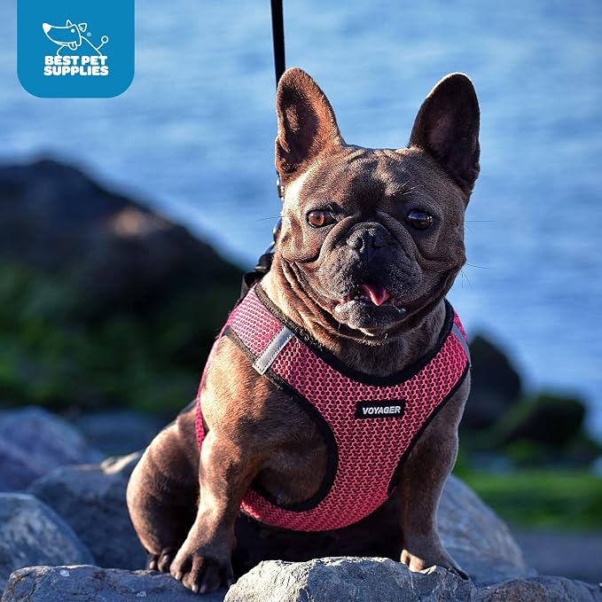 Best Pet Supplies Voyager Step-in Air Harness - Image 10