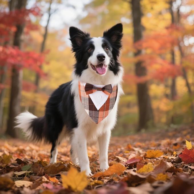 ADOGGYGO Fall Dog Tuxedo Bandana, Adjustable Halloween Thanksgiving Costume - Image 3