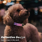 Reflective Dog Collar for Extra Small Dogs Cats, Cute Leopard Style Adjustable - Image 3
