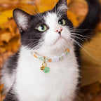 2 Pack Cotton Breakaway Cat Collar Beige and Green Flowers Pendant Cute Kitten - Image 6