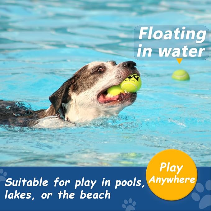 Large Squeaky Tennis Balls for Dogs - Image 5