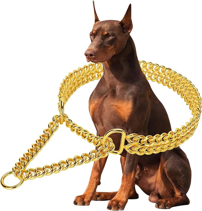 Stainless Steel 18K Gold Dog Collar by KINGOLDOS