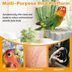 PINVNBY 6 PCS Bird Perch Parrot Beak Grinding Stone Calcium Mineral Parrot - Image 5