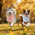 2 Pack Dog Bandanas for Pregnancy Announcement, Cute Adjustable Pet Bandana - Image 6