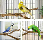 kathson Natural Parrot Perch Bird Stand Pole Wild Grape Stick Paw Grinding Fork - Image 3