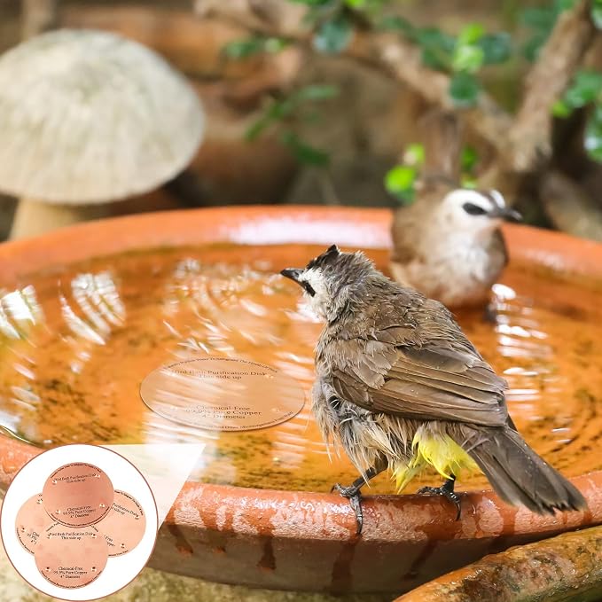 2 Pcs Bird Bath Copper Disk, 0.6mm Thick Reinforced 99.99% Pure Copper Birdbath - Image 6