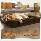Small Dog Bed Orthopedic Washable Cat Bed Memory Foam Small Couch Sofa Indoor - Image 6