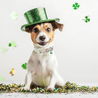 St Patricks Day Dog Collar for Puppy Small Dogs - Image 3