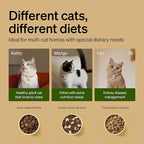 PETLIBRO Automatic Cat Feeders for 2 Cats, RFID Collar Tag for Exclusive Meals - Image 5