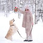 QDAN Christmas Dog Balls with Straps, Soccer Ball - Image 3