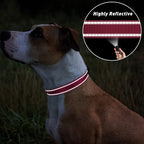 TagME Small Dog Collars, Adjustable Reflective Nylon Pet Collar - Image 5
