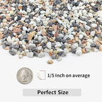 5LBS Succulent and Cactus Gravel Pebbles, 1/5 Inch Natural Decorative Polished - Image 2