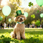St Patricks Day Dog Collar for Puppy Small Dogs - Image 2