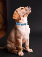 Soft Cotton Dog Collar with Metal Buckle Adjustable Heavy Duty Comfy Corduroy - Image 3