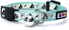Pawtitas Glow in The Dark Cat Collar by Pawtitas