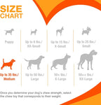 Nylabone Original Bone Power Chew Toy - Image 9