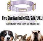 Nylon Dog Collar - Image 7