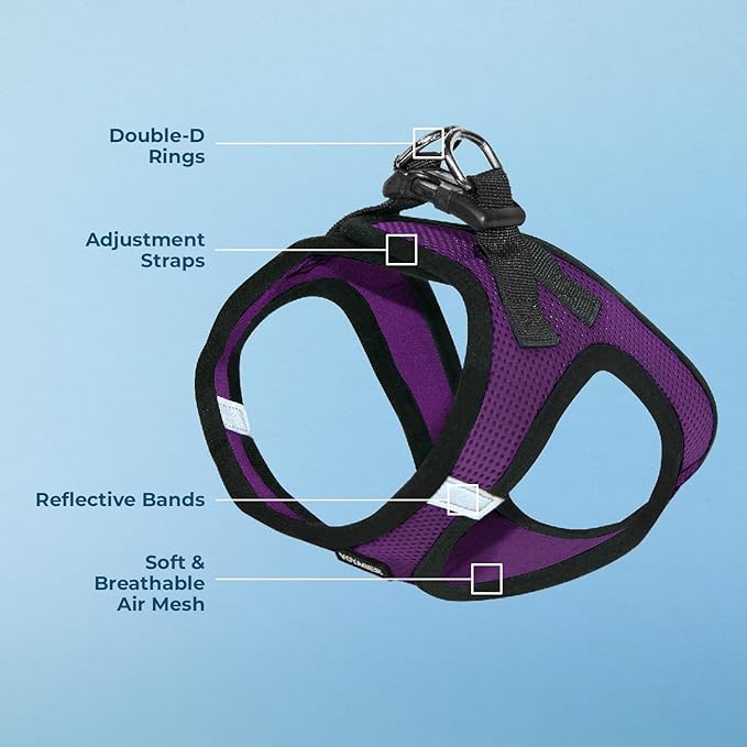 Best Pet Supplies - Image 3