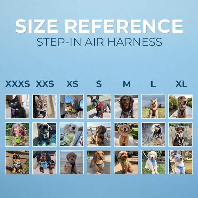 Best Pet Supplies Voyager Step-in Air Harness - Image 7
