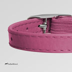 CollarDirect Leather Cat Collar - Image 3