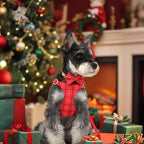 Beirui Cute Extra Small Dog Harness Collar and Leash Set - Image 3